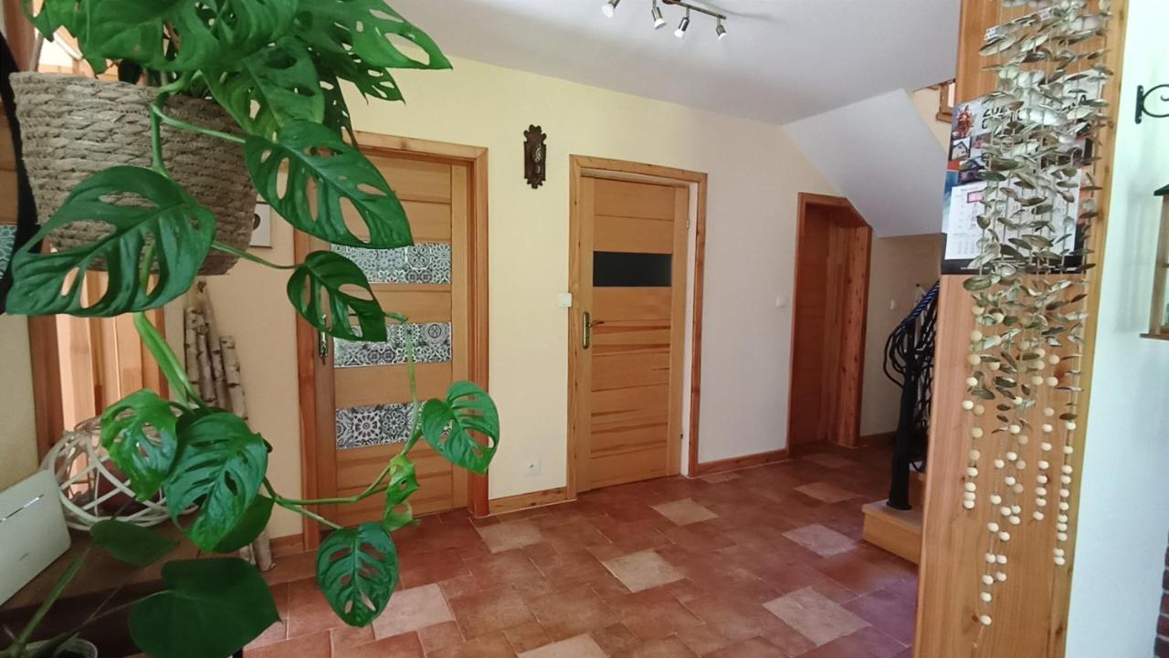 בית הארחה לוטוביסקה 	Zacisze Drwala מראה חיצוני תמונה